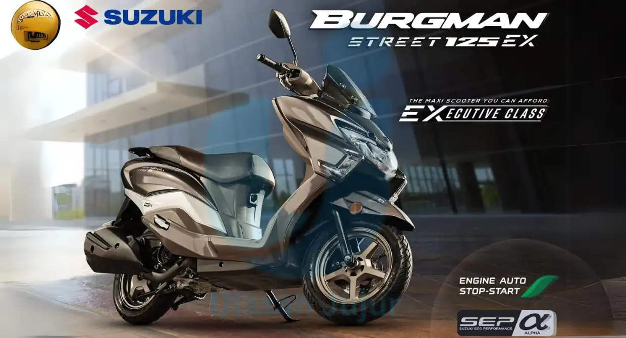 suzuki burgam